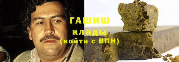стаф Алзамай