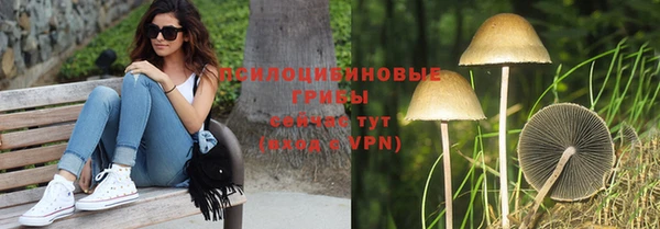ECSTASY Абаза