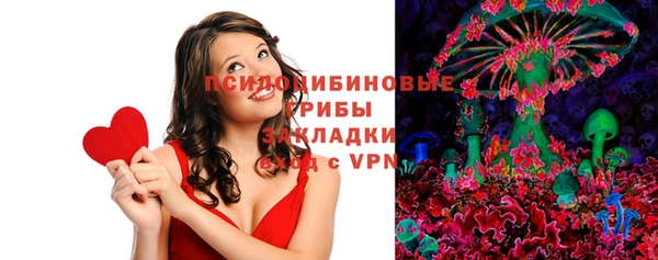 ECSTASY Абаза