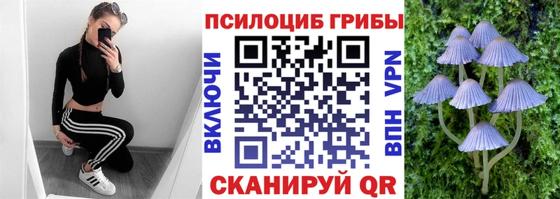Псилоцибиновые грибы Magic Shrooms Спас-Клепики